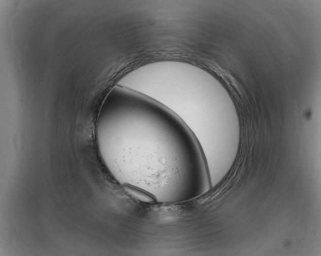 X0000095920517200801110858