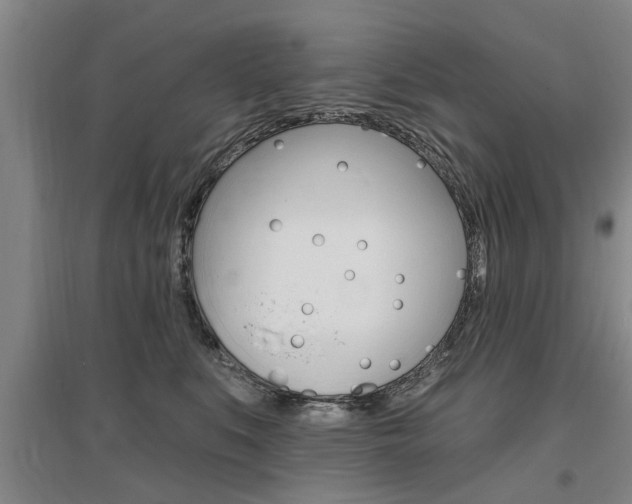 X0000095920519200801110858