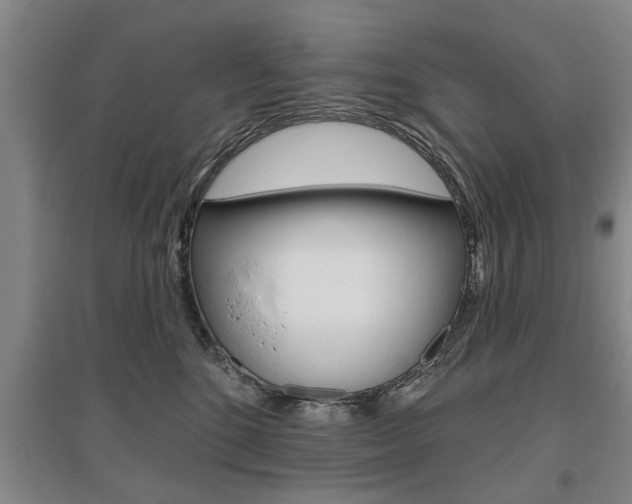 X0000095920520200801110858