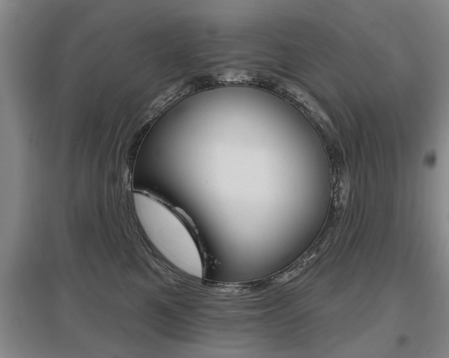 X0000095920521200801110858