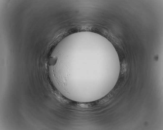 X0000095920522200801110858