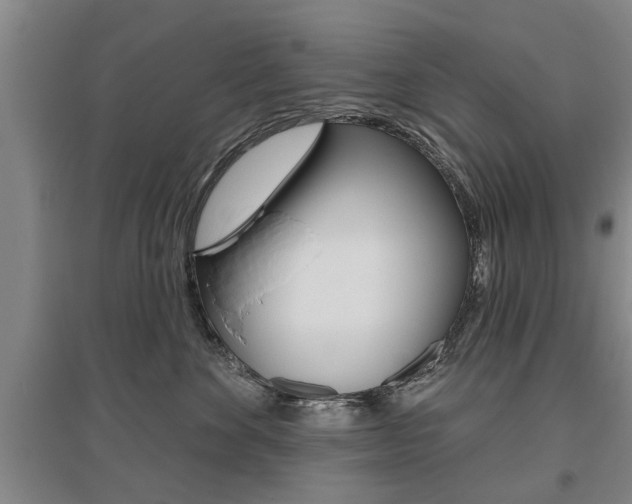 X0000095920524200801110858