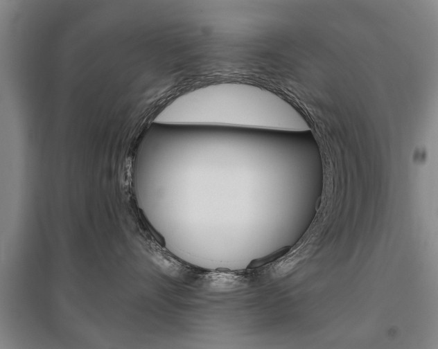 X0000095920528200801110858