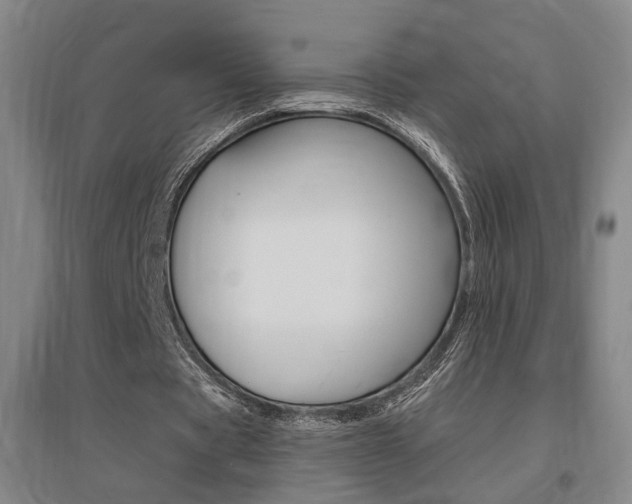 X0000095920529200801110857