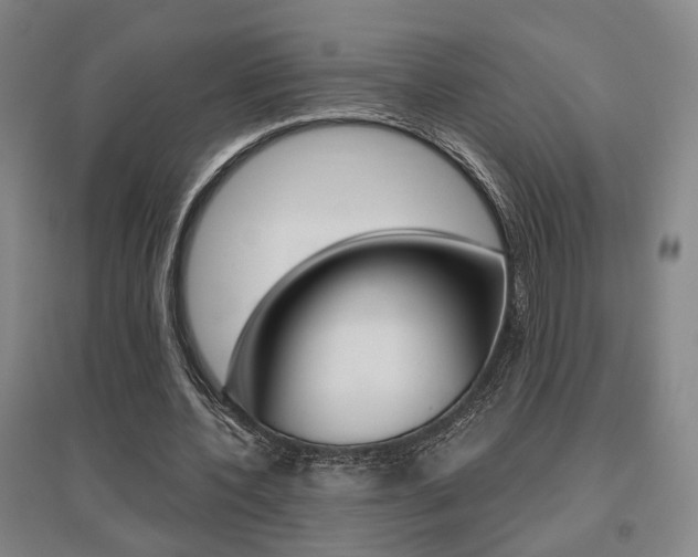 X0000095920532200801110857