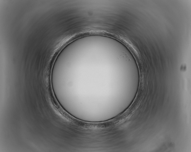 X0000095920533200801110857
