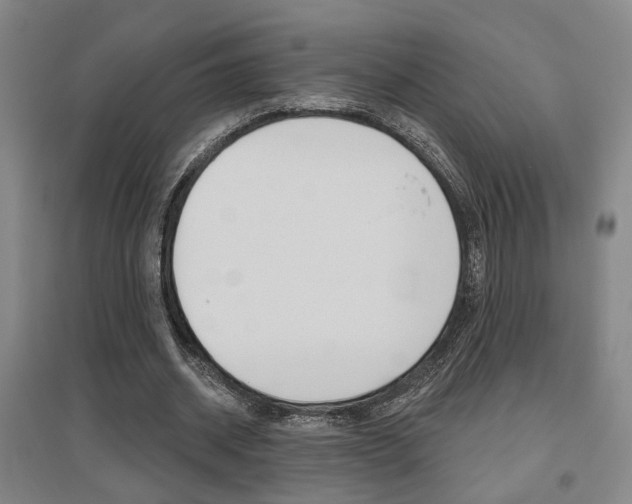 X0000095920534200801110857