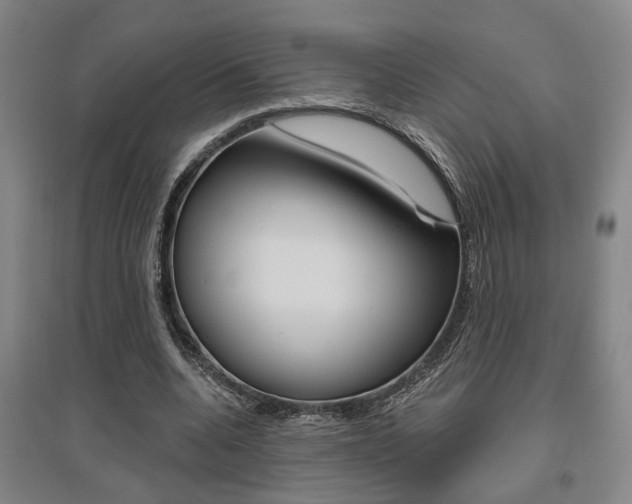 X0000095920536200801110857