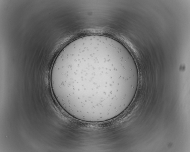 X0000095920537200801110857
