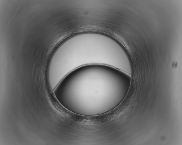 X0000095920538200801110857