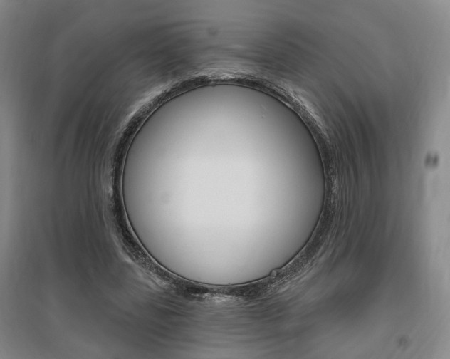X0000095920539200801110857