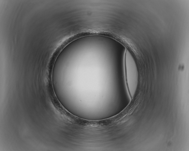 X0000095920540200801110857