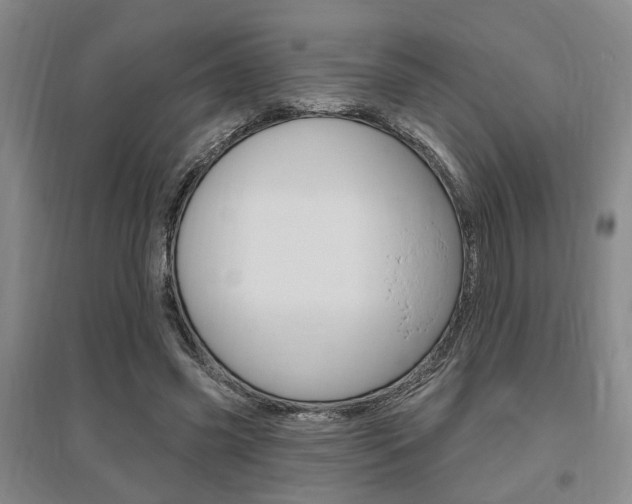 X0000095920541200801110857