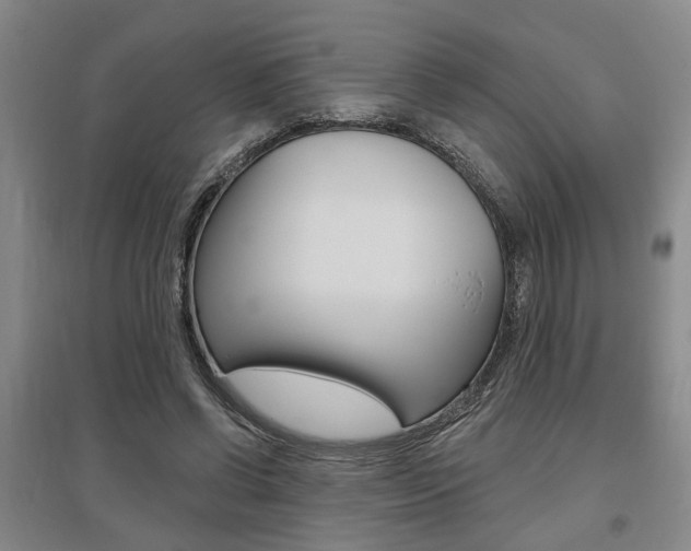 X0000095920542200801110857