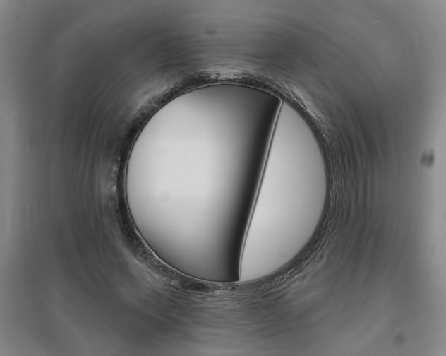 X0000095920543200801110857