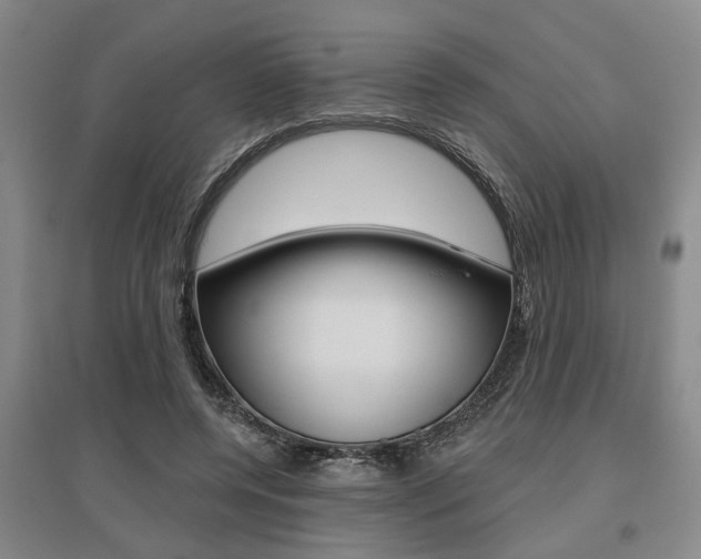 X0000095920544200801110857