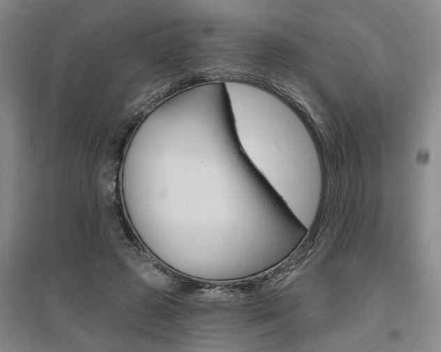 X0000095920545200801110857