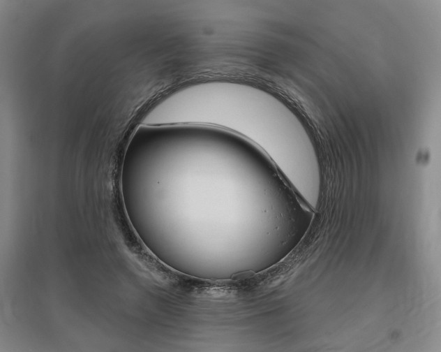 X0000095920546200801110857