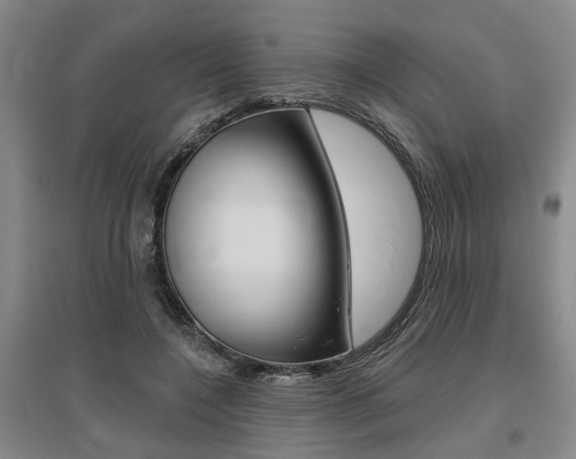 X0000095920548200801110857