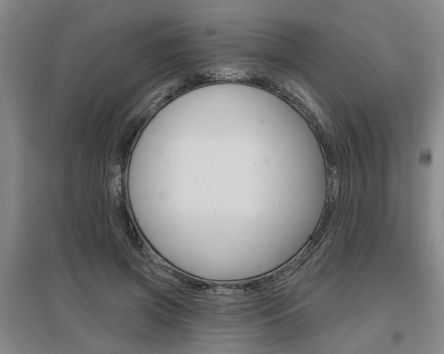 X0000095920549200801110857