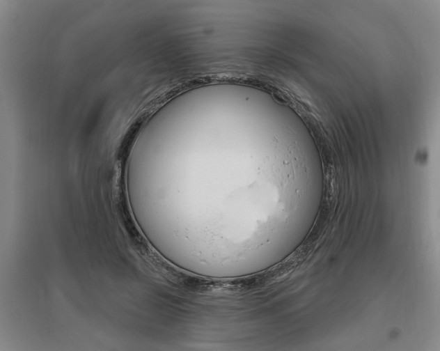 X0000095920550200801110857