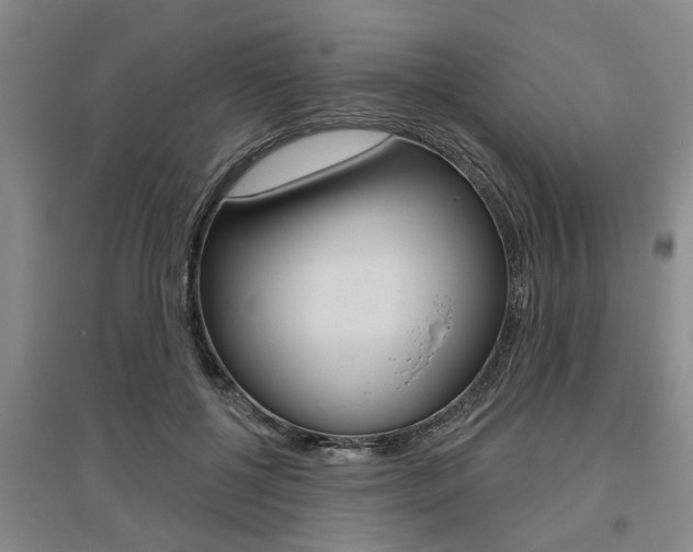 X0000095920552200801110857