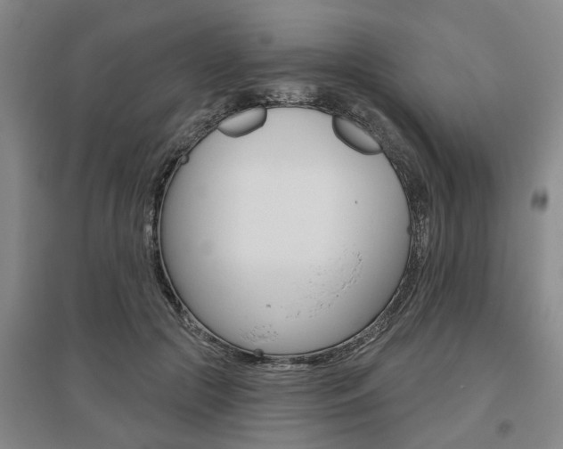 X0000095920553200801110857