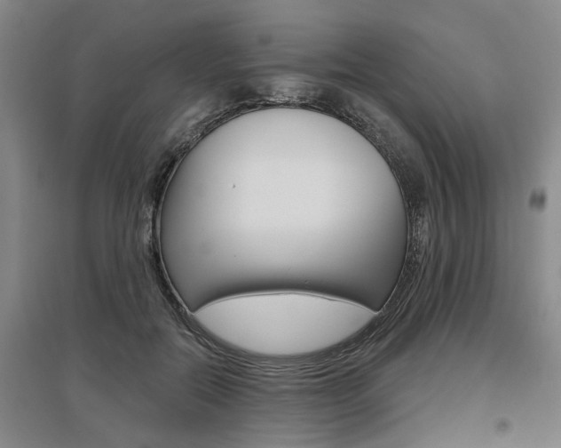 X0000095920554200801110857