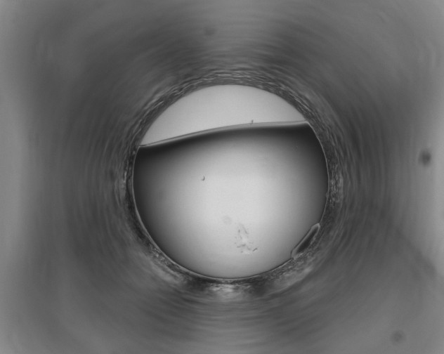 X0000095920558200801110857