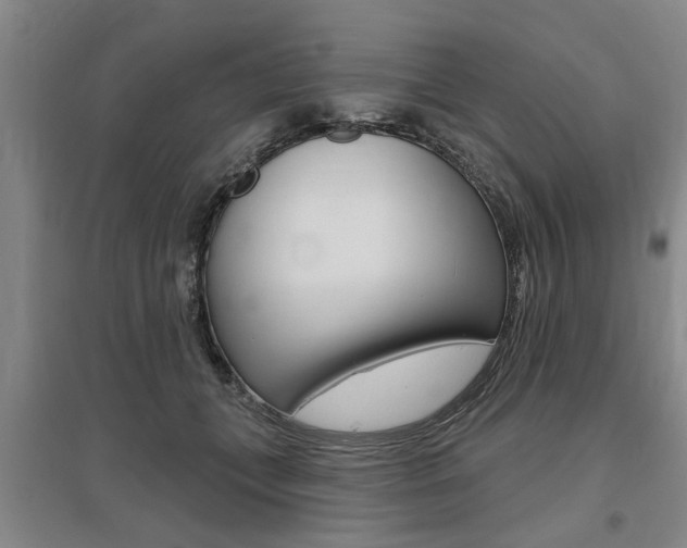 X0000095920559200801110857