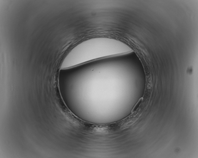 X0000095920560200801110857