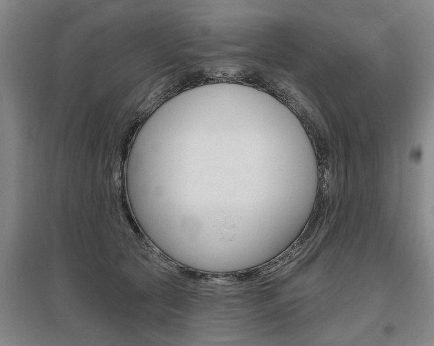 X0000095920561200801110857