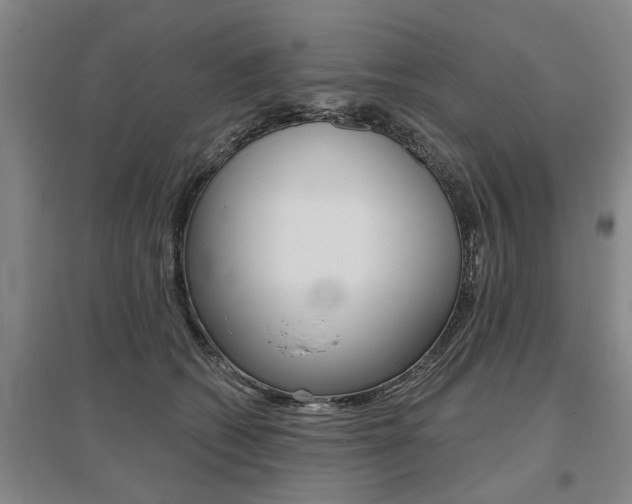 X0000095920562200801110857
