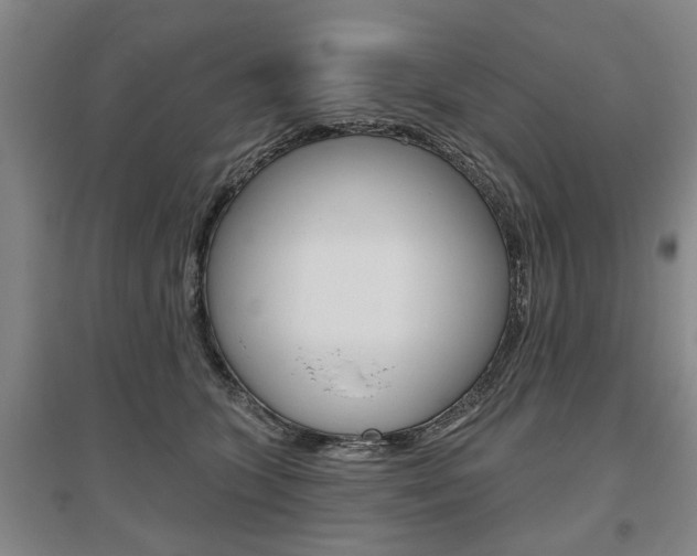 X0000095920563200801110857