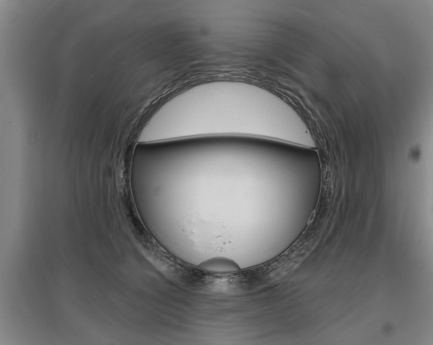 X0000095920564200801110857