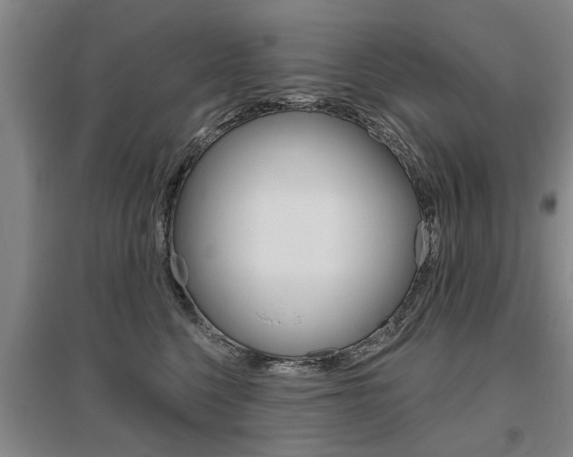 X0000095920568200801110857