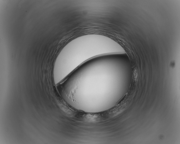X0000095920570200801110857