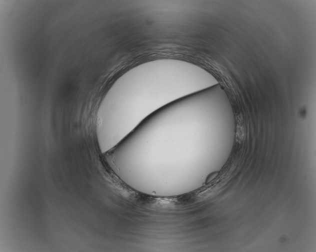 X0000095920573200801110858