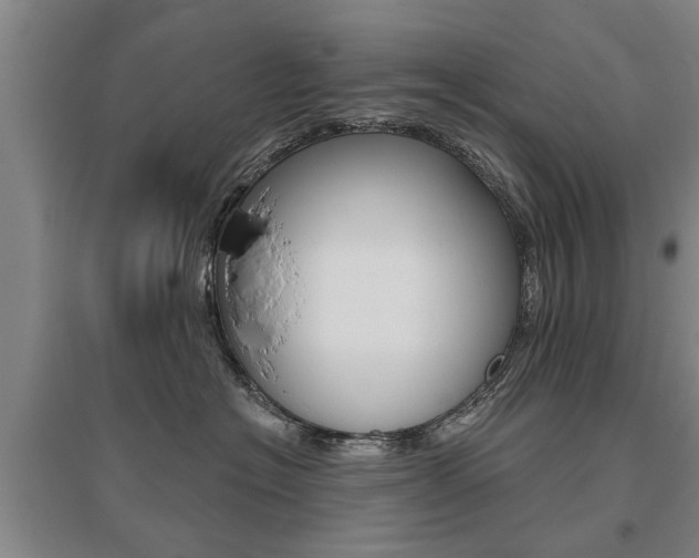 X0000095920574200801110858