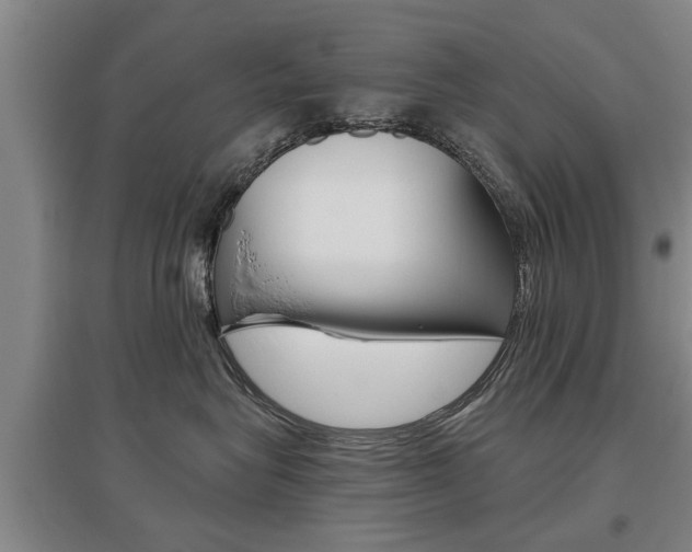 X0000095920575200801110858