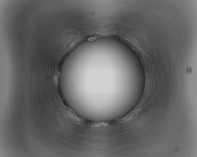 X0000095920576200801110858