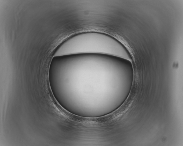 X0000095920577200801110857