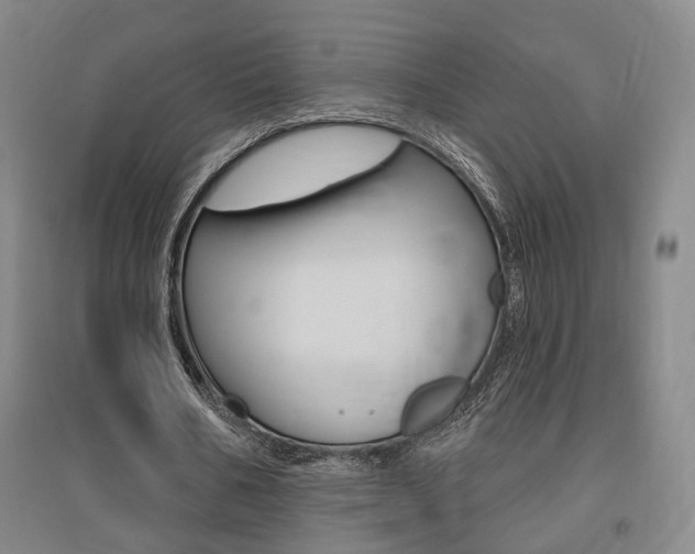 X0000095920578200801110857