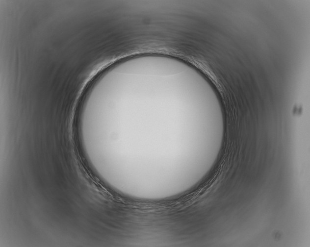 X0000095920579200801110857