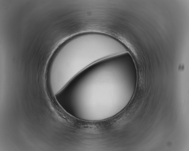 X0000095920580200801110857
