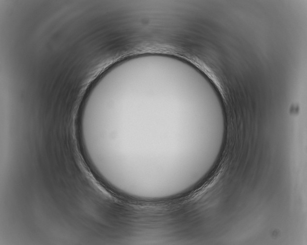 X0000095920581200801110857