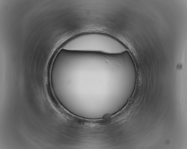 X0000095920582200801110857