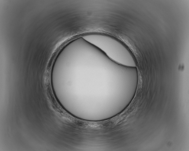 X0000095920583200801110857