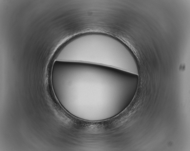 X0000095920584200801110857