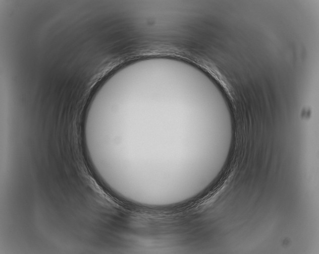 X0000095920585200801110857